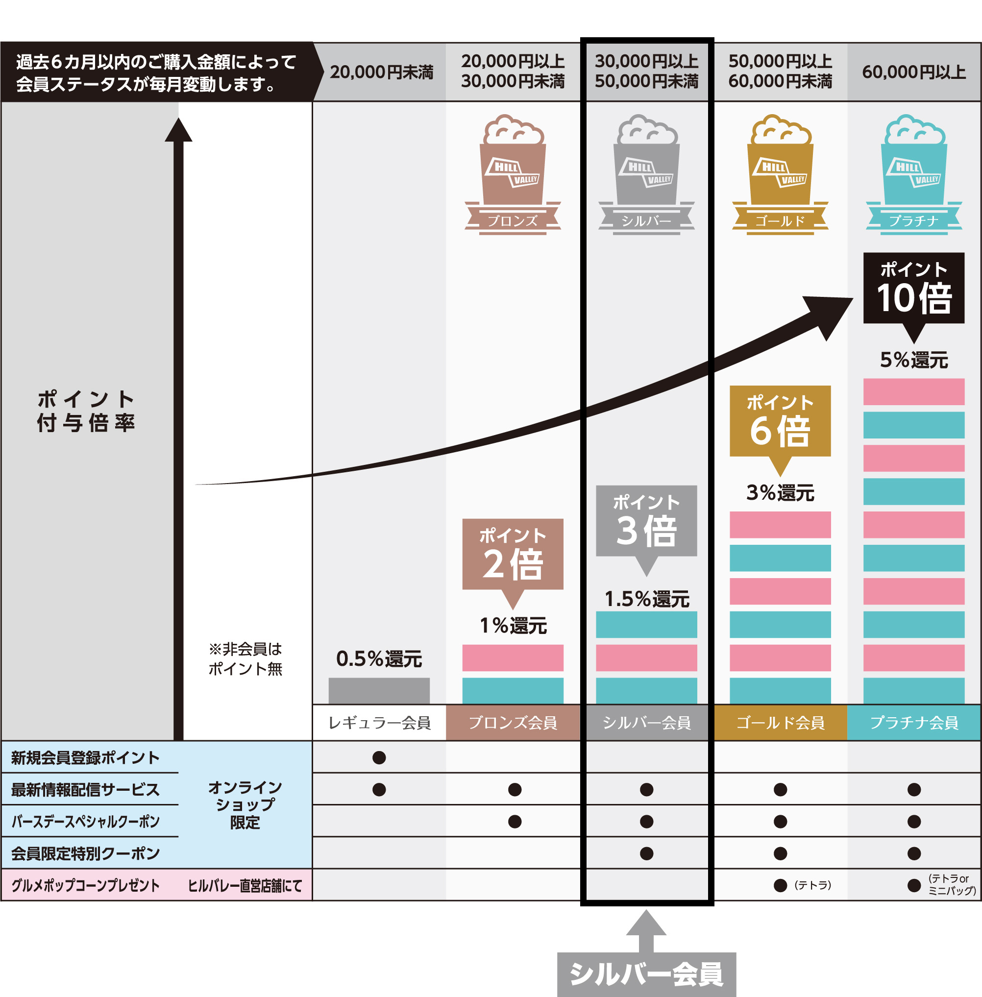 過去6カ月以内のご購入金額によって、会員ステータスが毎月変動します。