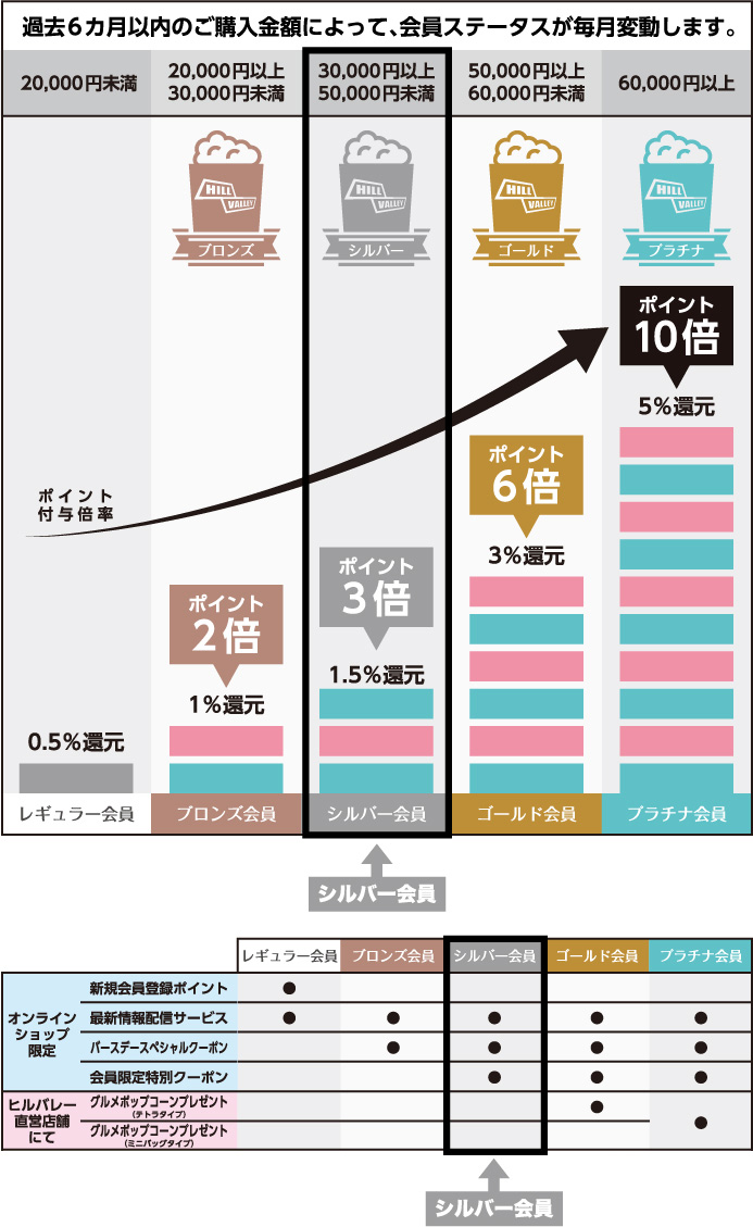 過去6カ月以内のご購入金額によって、会員ステータスが毎月変動します。